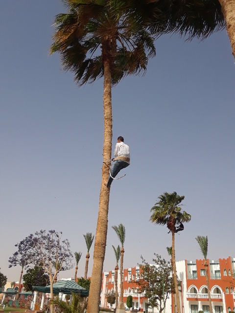 20190416_233908_1557586674255_001